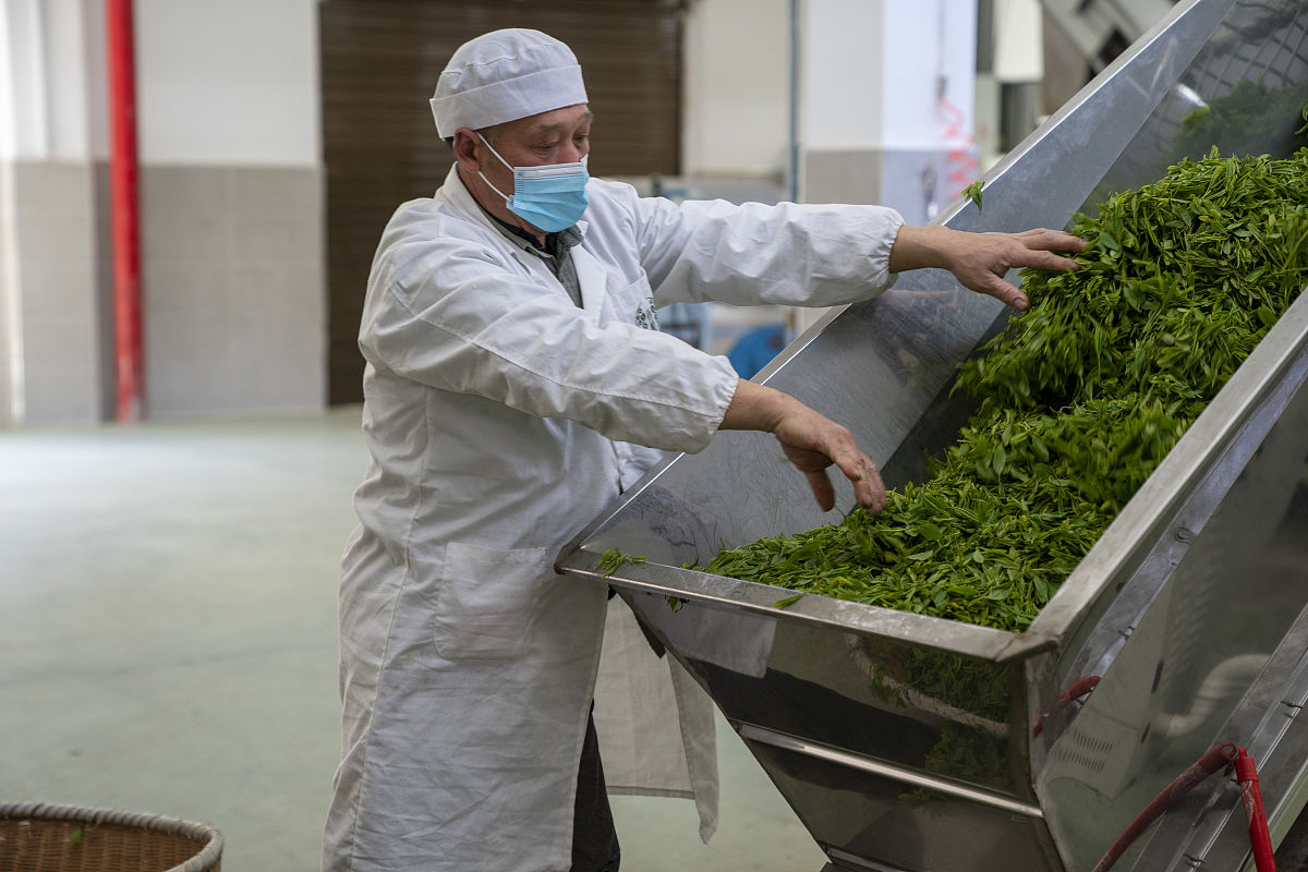 茶里放什么致命