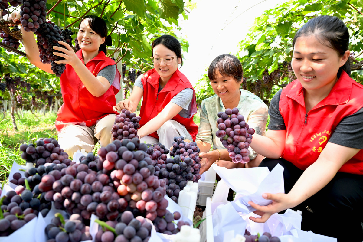 香甜盛宴：解锁水果类节庆旅游新玩法