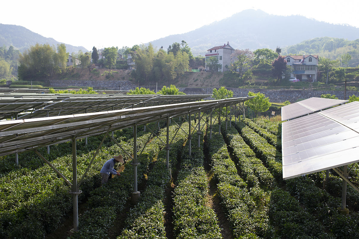 黄冈卫校有哪些？2022年黄冈市卫生学校盘点