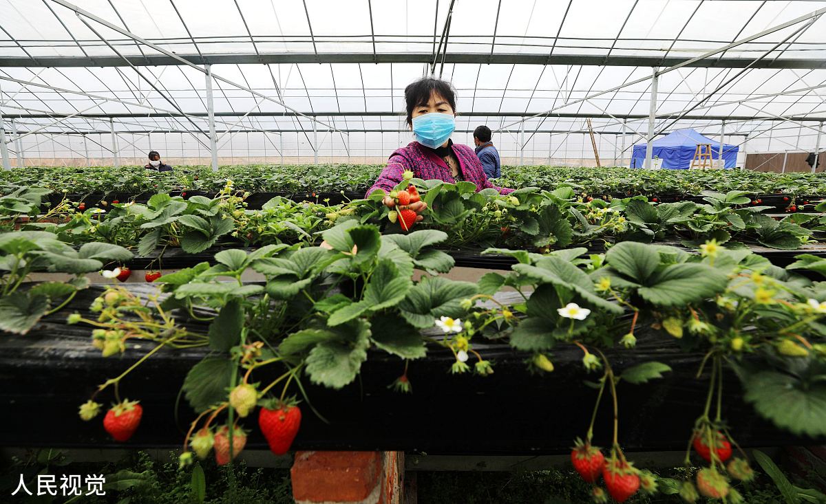 合肥中专学校女生热门专业推荐-2023年最新