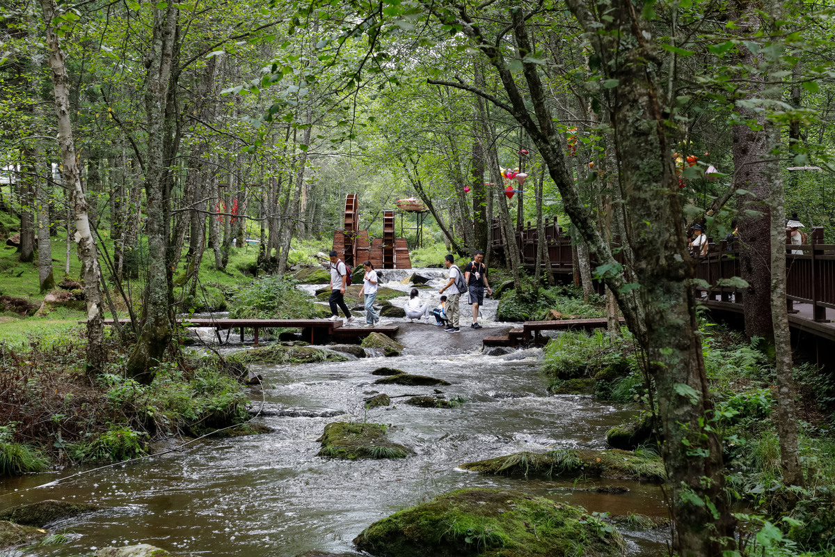 森林生态旅游专科专业怎么样？