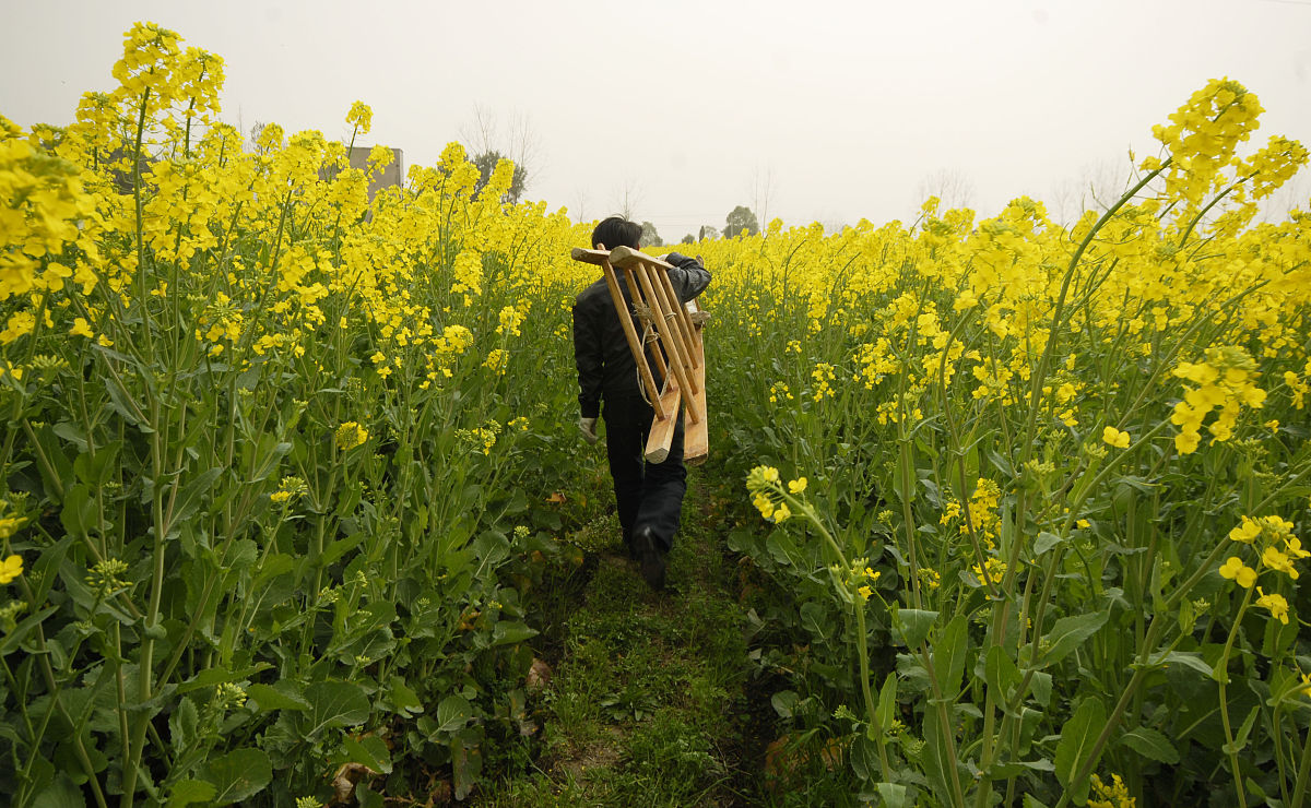 云南大学生物技术专业怎么样