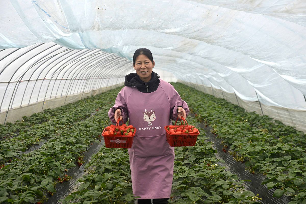 平山县职业教育中心果蔬花卉生产技术专业怎么样？就业前景及学习内容解析