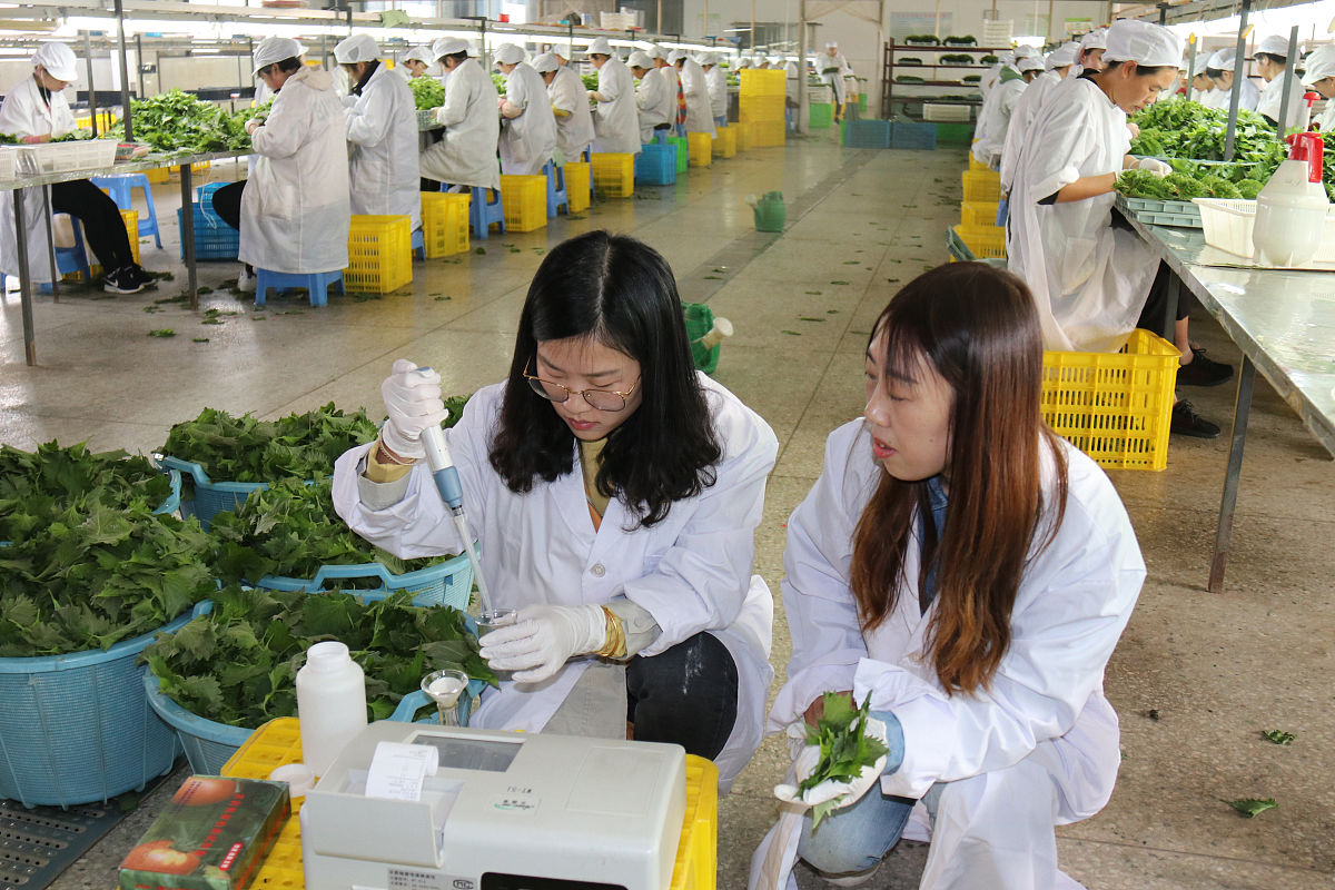 黔东南民族职业技术学院农产品加工与质量检测专业就业方向有哪些