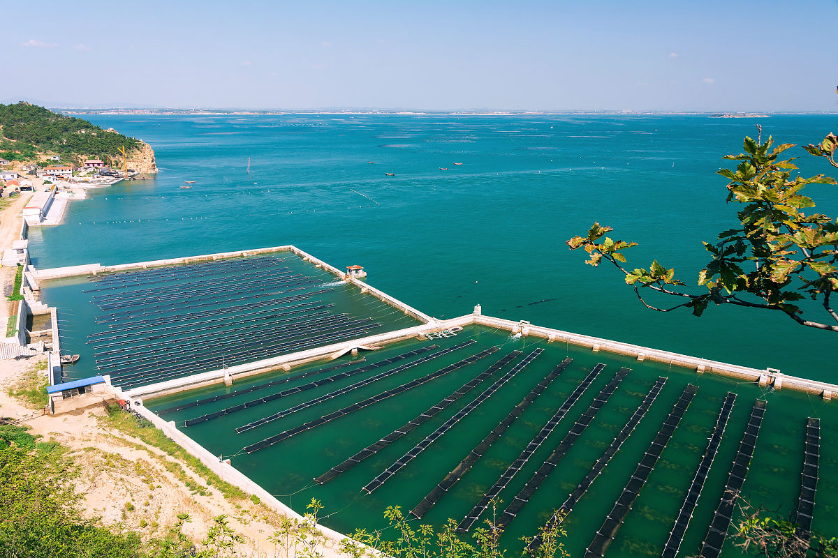 大连海洋学校2022年海水生态养殖专业怎么样？