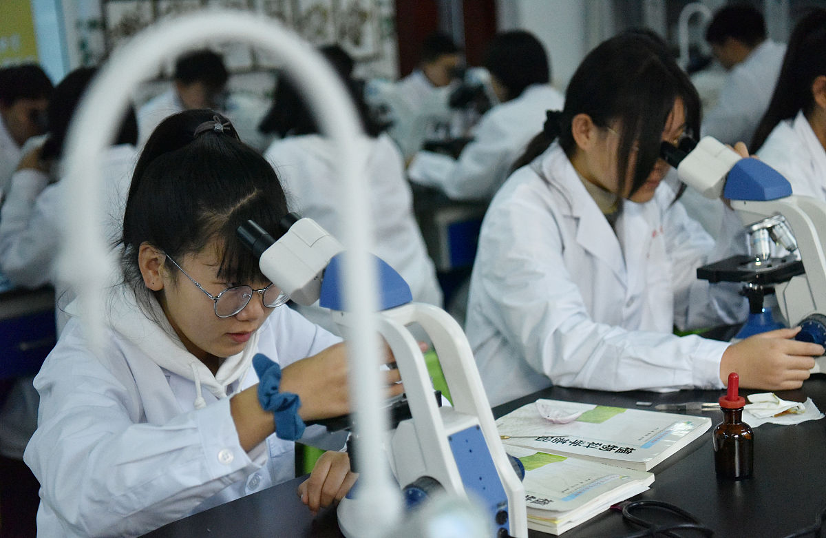 洋葱表皮细胞临时制片方法步骤详解