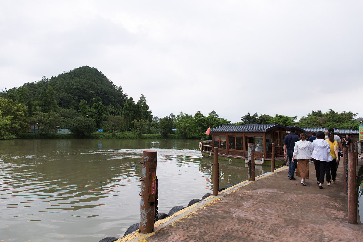 写一篇水阳江生态调研实践的实践收获