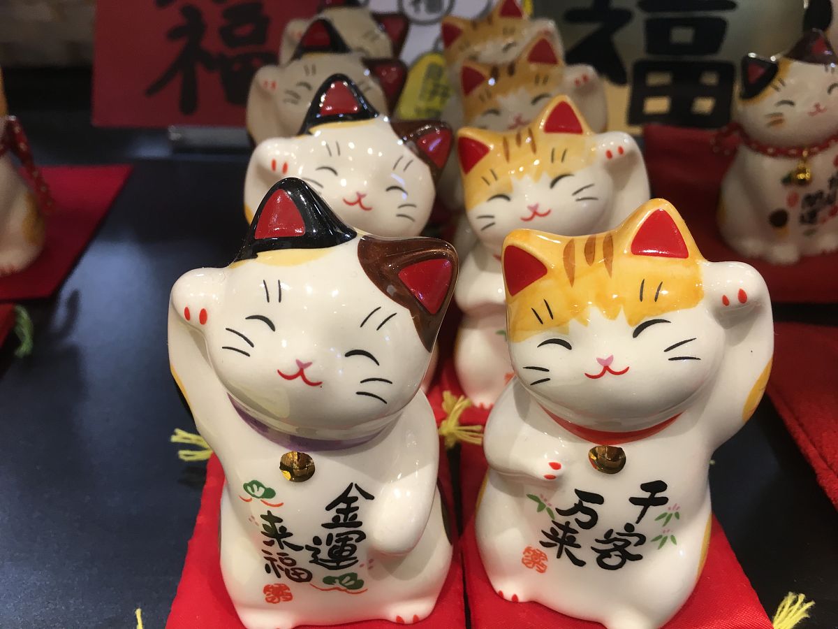 请帮我写1篇不少于800汉字的博客文章语言要幽默风趣。主题是：招财猫的寓意招财猫寓意介绍