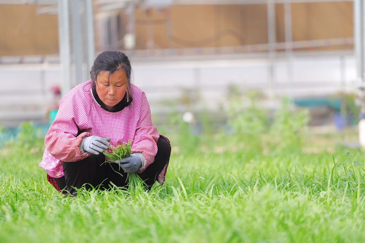 山西农业广播电视学校2021年报名需要满足哪些条件