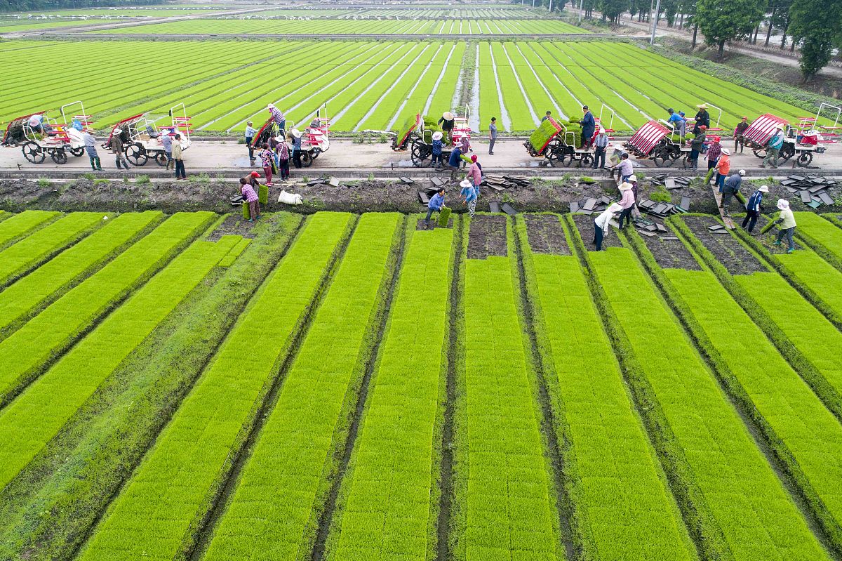乡村振兴实践日志：探访江苏乡村振兴新模式