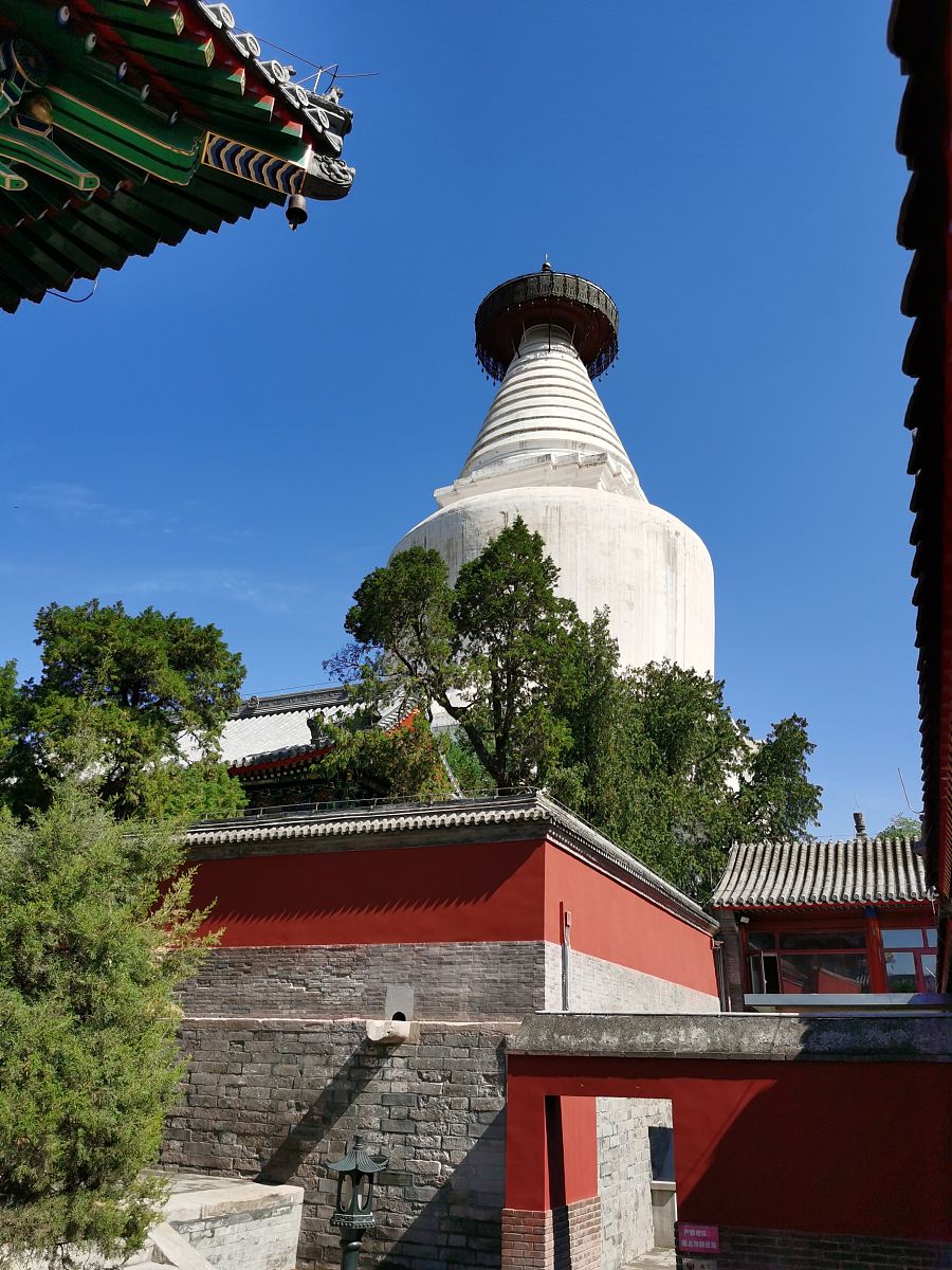 贵州2023年女生适合学的中专专业