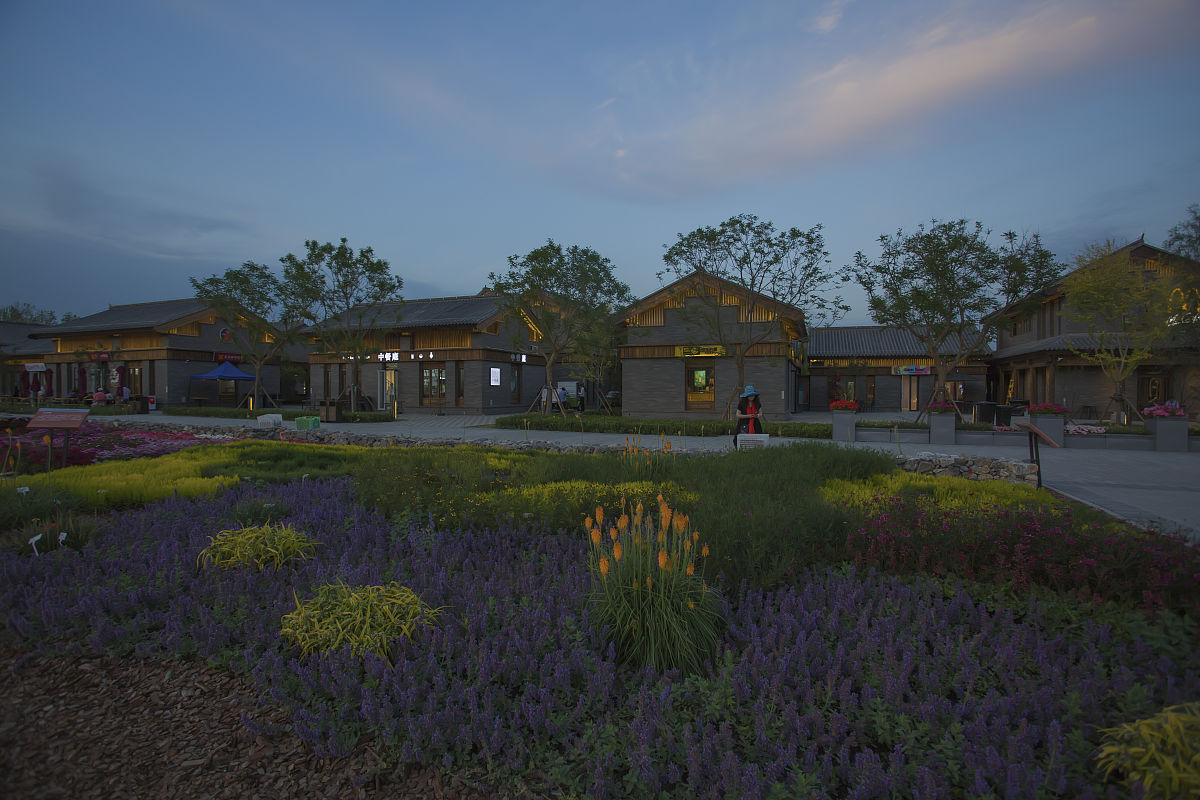 中国乡村旅游失败案例