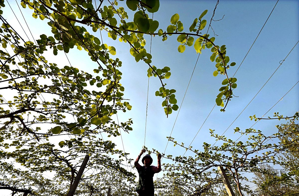 淄博建筑工程学校2021年招生条件 - 入学要求及建议