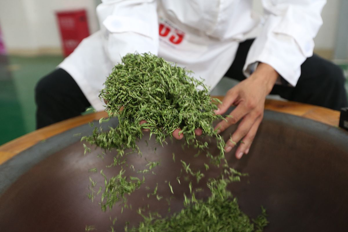 安徽机电技师学院2021年招生条件：报考须知