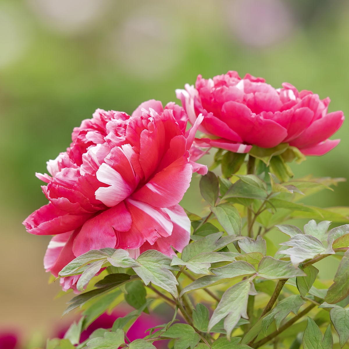 江苏溧水中等专业学校2021年热门专业哪个好