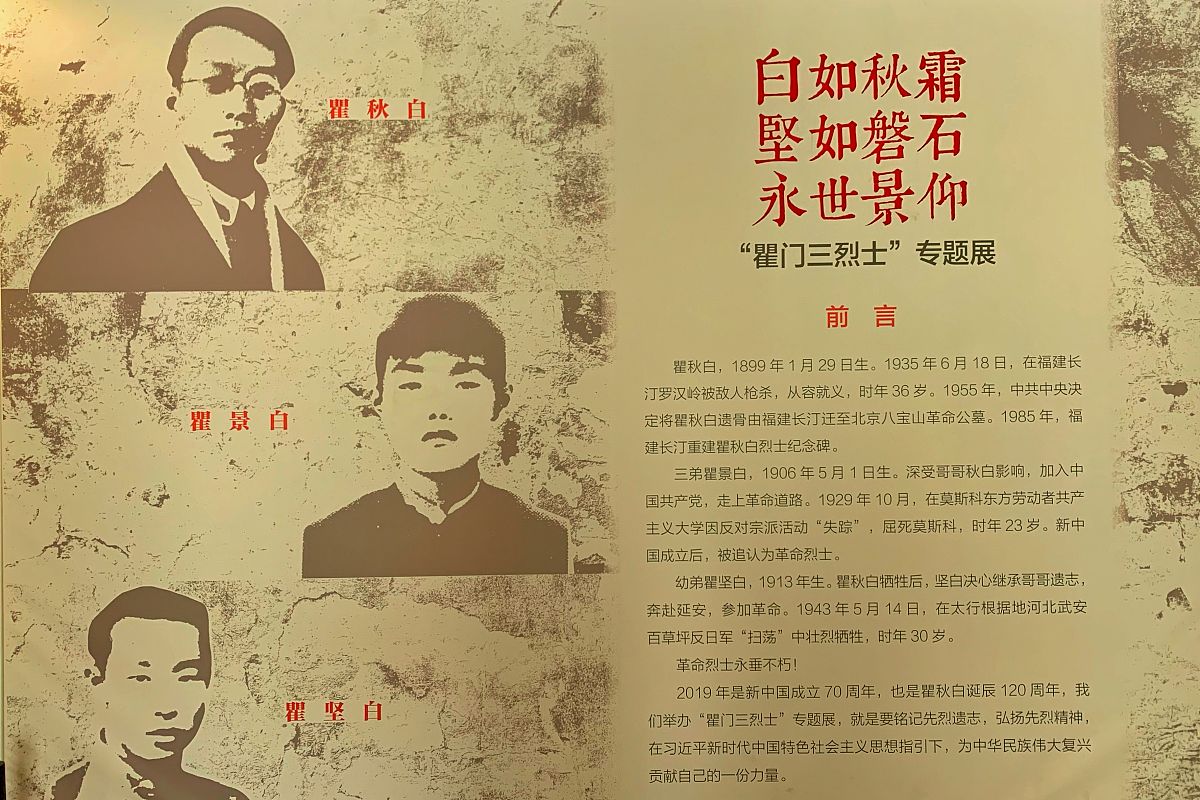 子君的人物形象