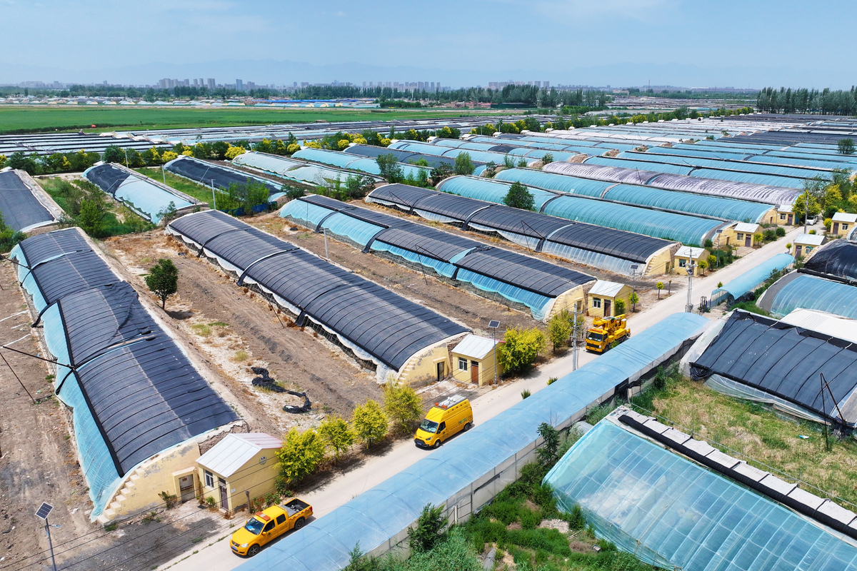 设计一个60亩的药材产业园