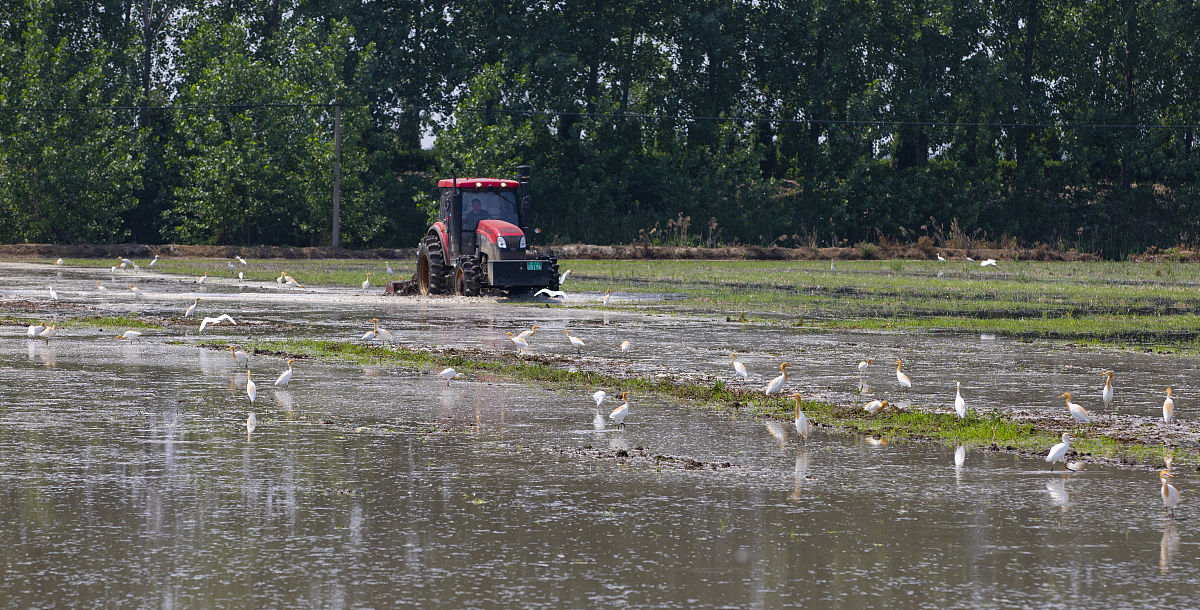 磁石について：質問への回答と知識への理解
