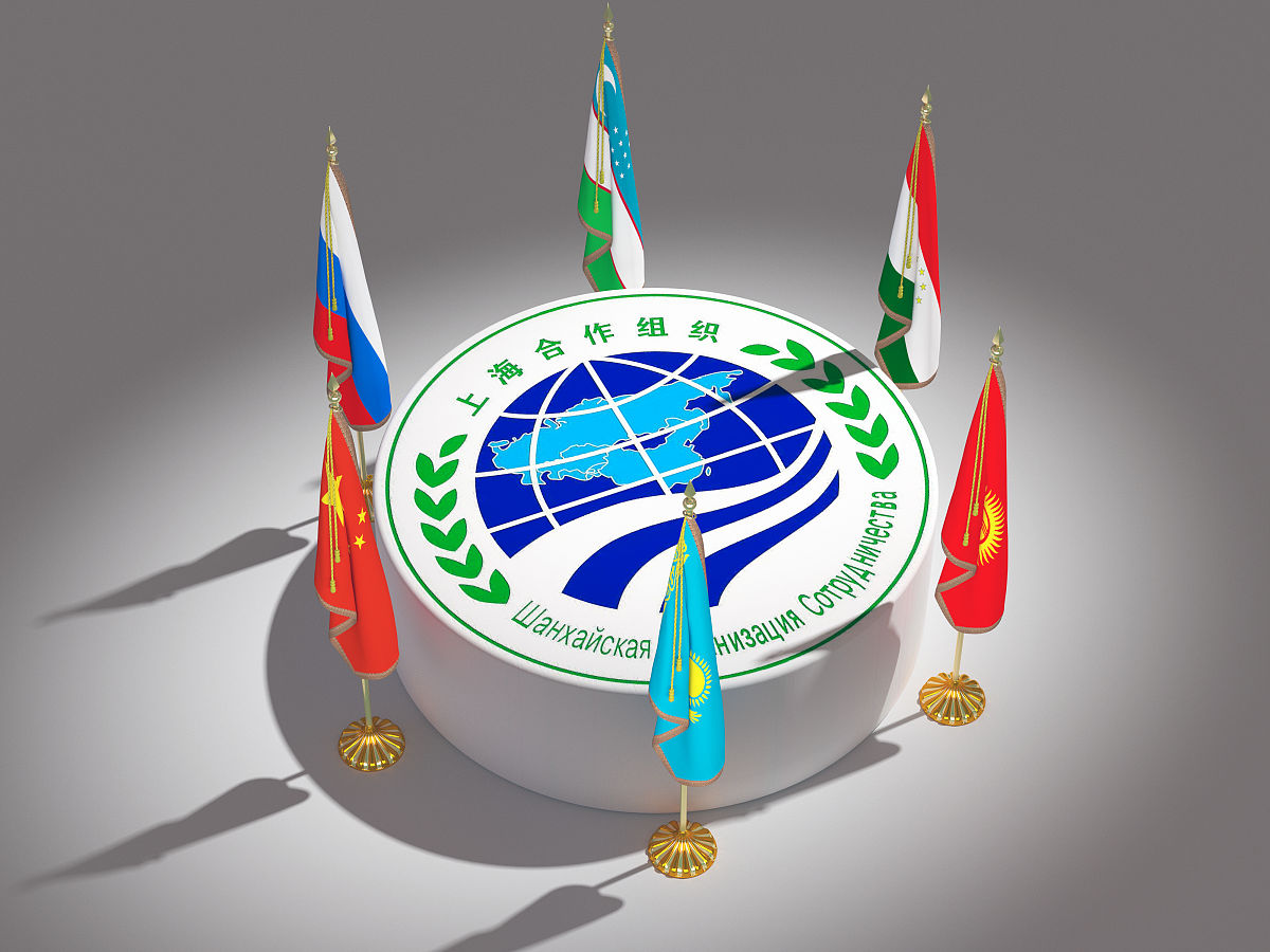 请具体描述国际组织对国际合作的影响并举出例子。