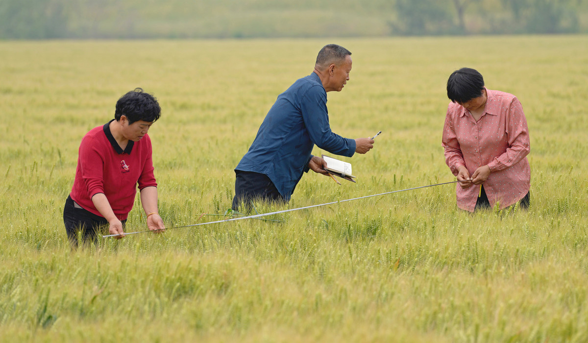 不违农时是什么意思