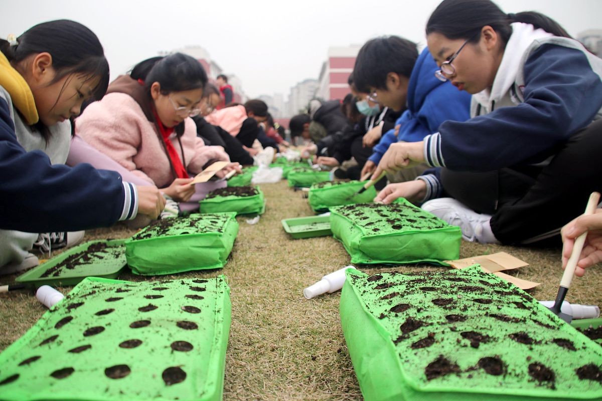 相城实验中学升学率：师资力量、课程设置、管理严格助力学子成功