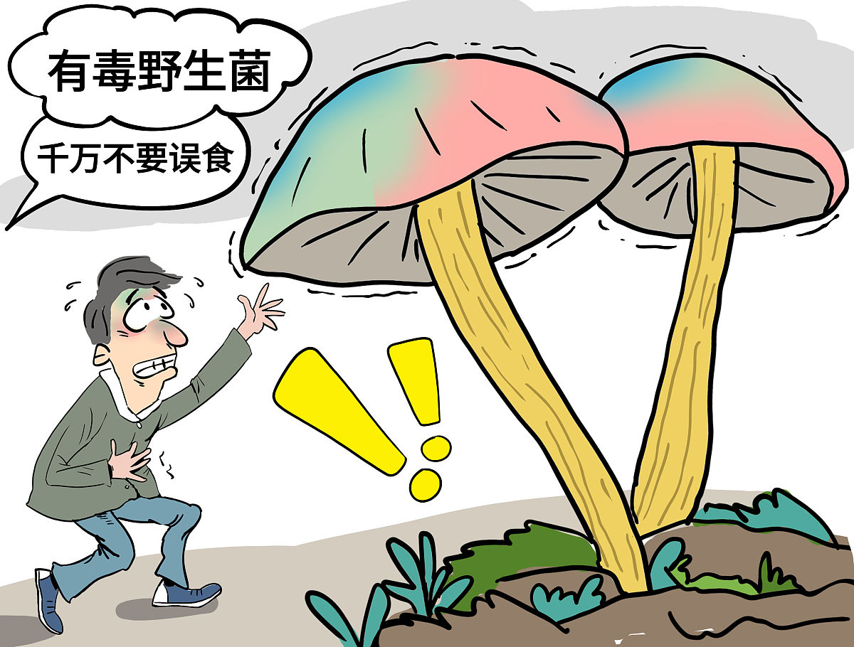 蘑菇中毒教案课题引