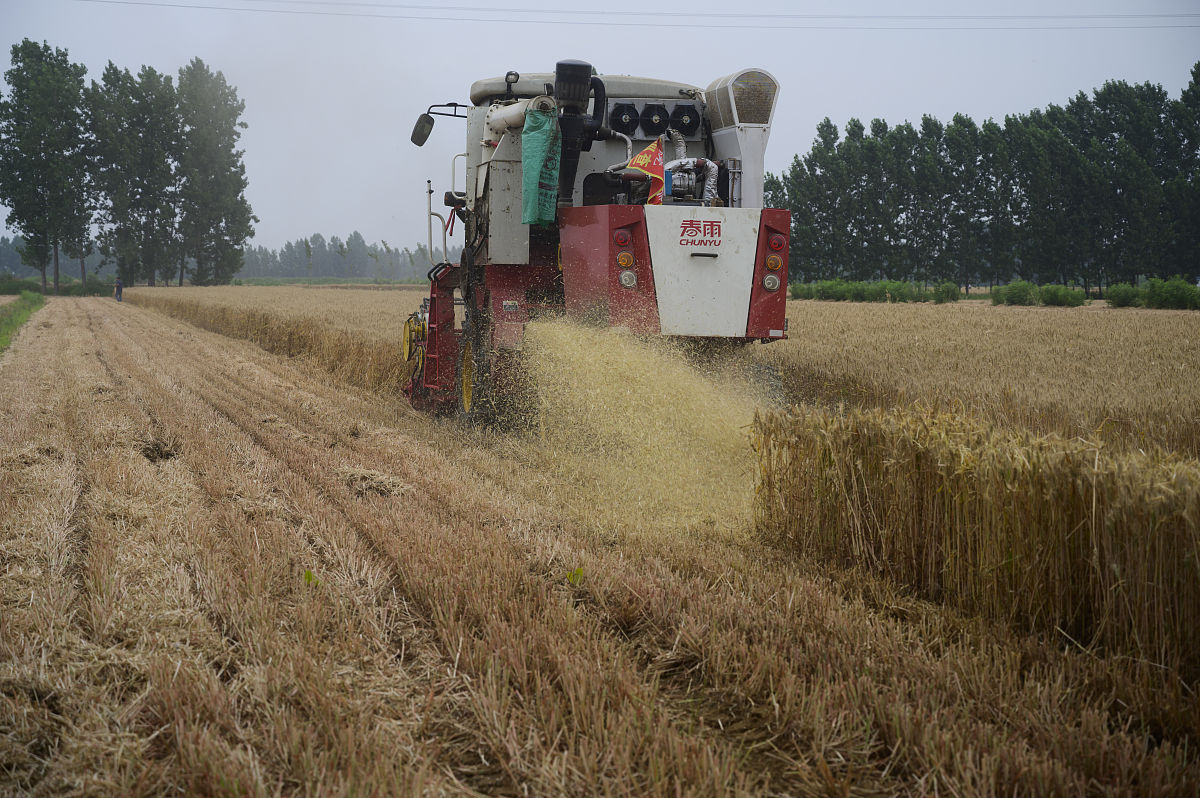 写一篇某市通过加强农业机械化提升了粮食产能的典型案例内容具体
