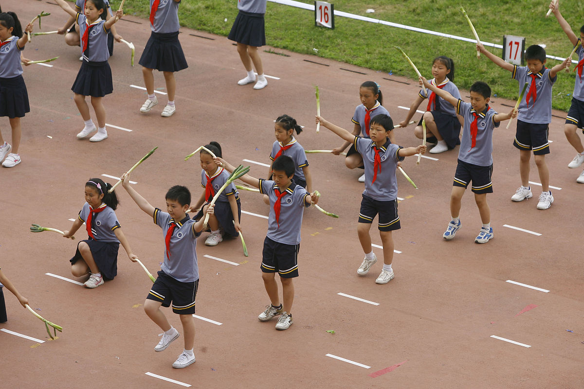 小学家长委员会工作总结：携手共进，共育未来