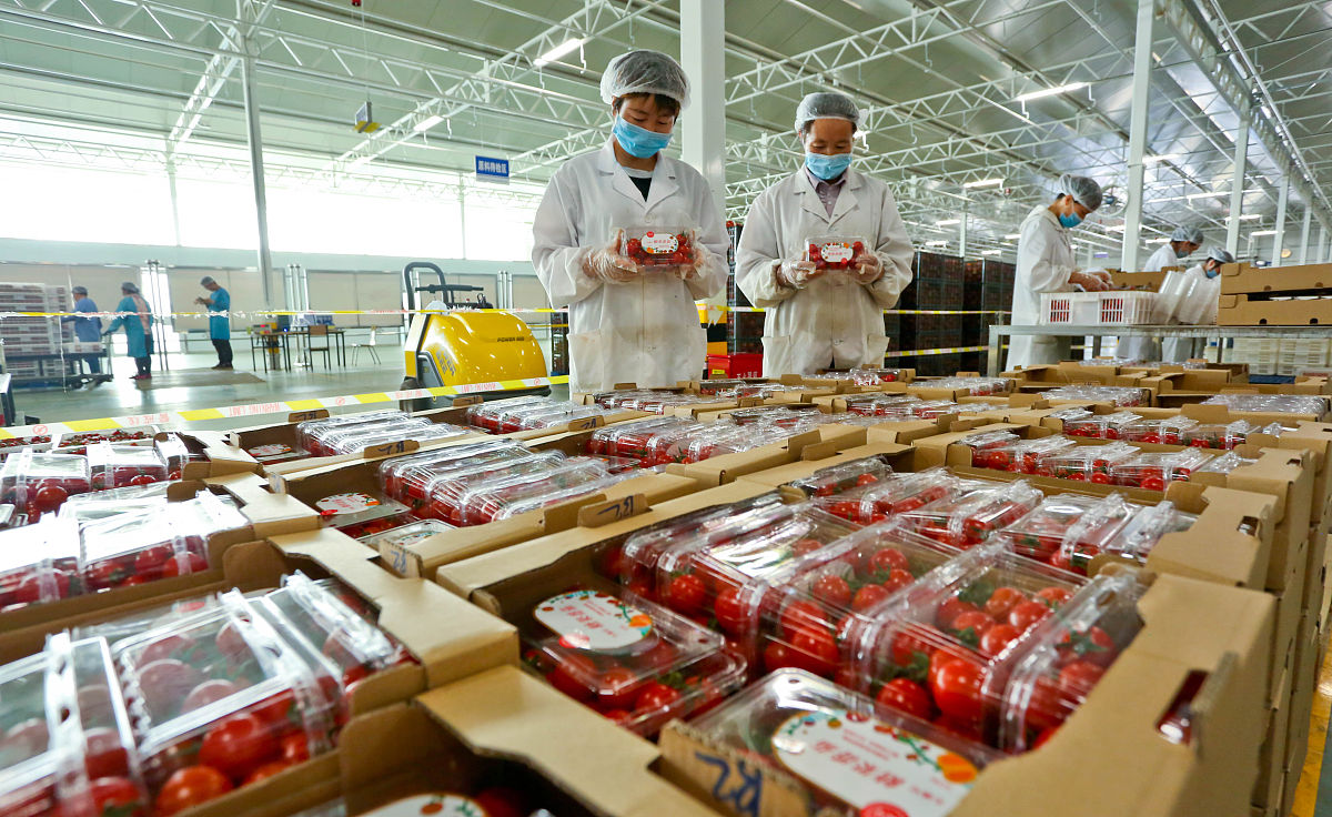甘肃农垦中等专业学校怎么样？办学层次及教学质量深度解析