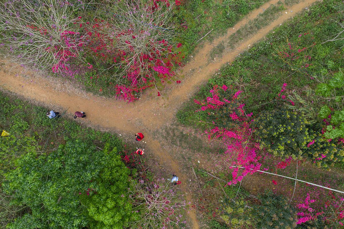 梧州职业学院护理专业怎么样？就业前景和优势分析