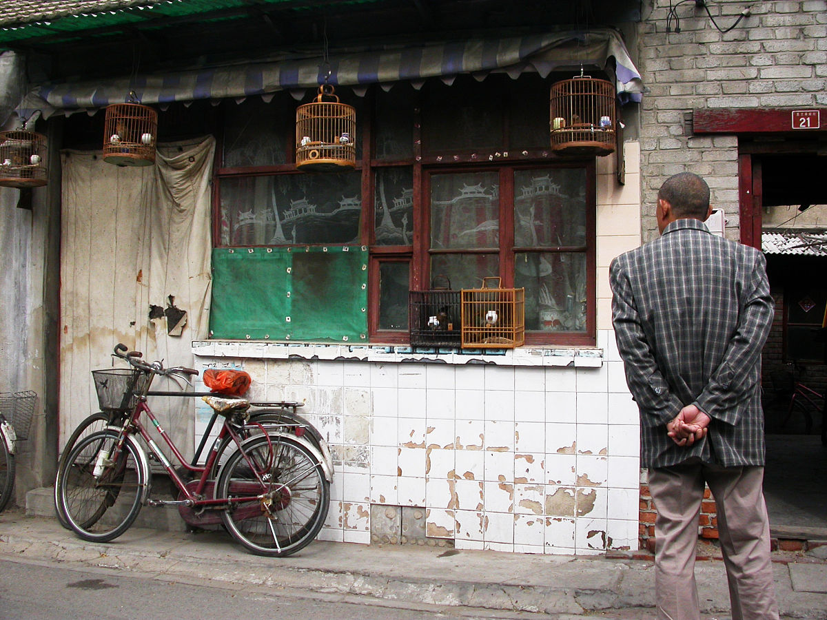 中国简介：历史、文化、经济与发展