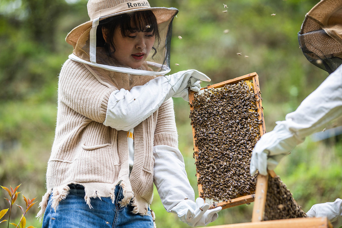 2021年3月25日,贵州毕节,袁小梅在纳雍县水东镇怕那村蜜蜂养殖基地里