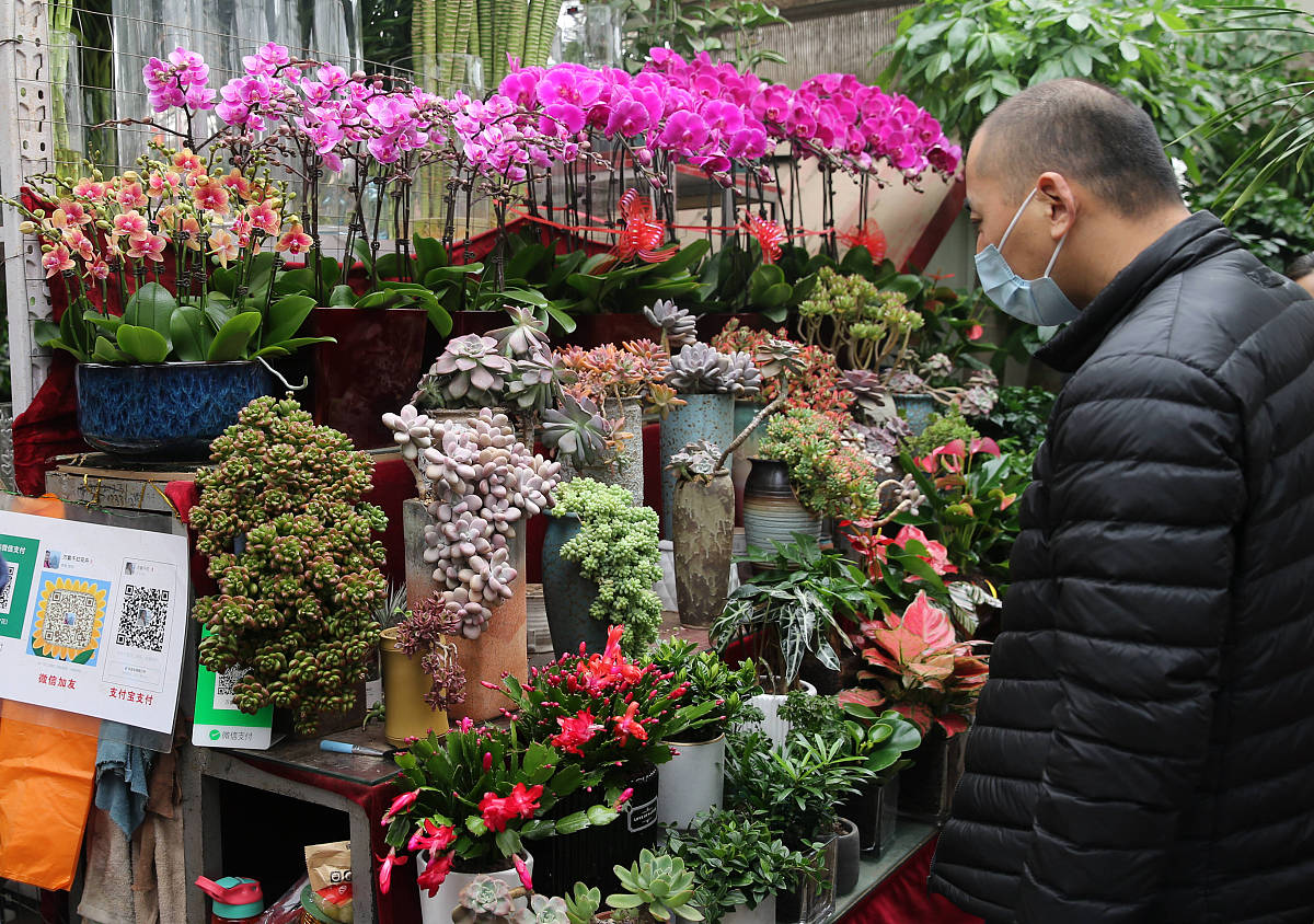 古代花市之旅：姐姐带妹妹感受繁华与温暖