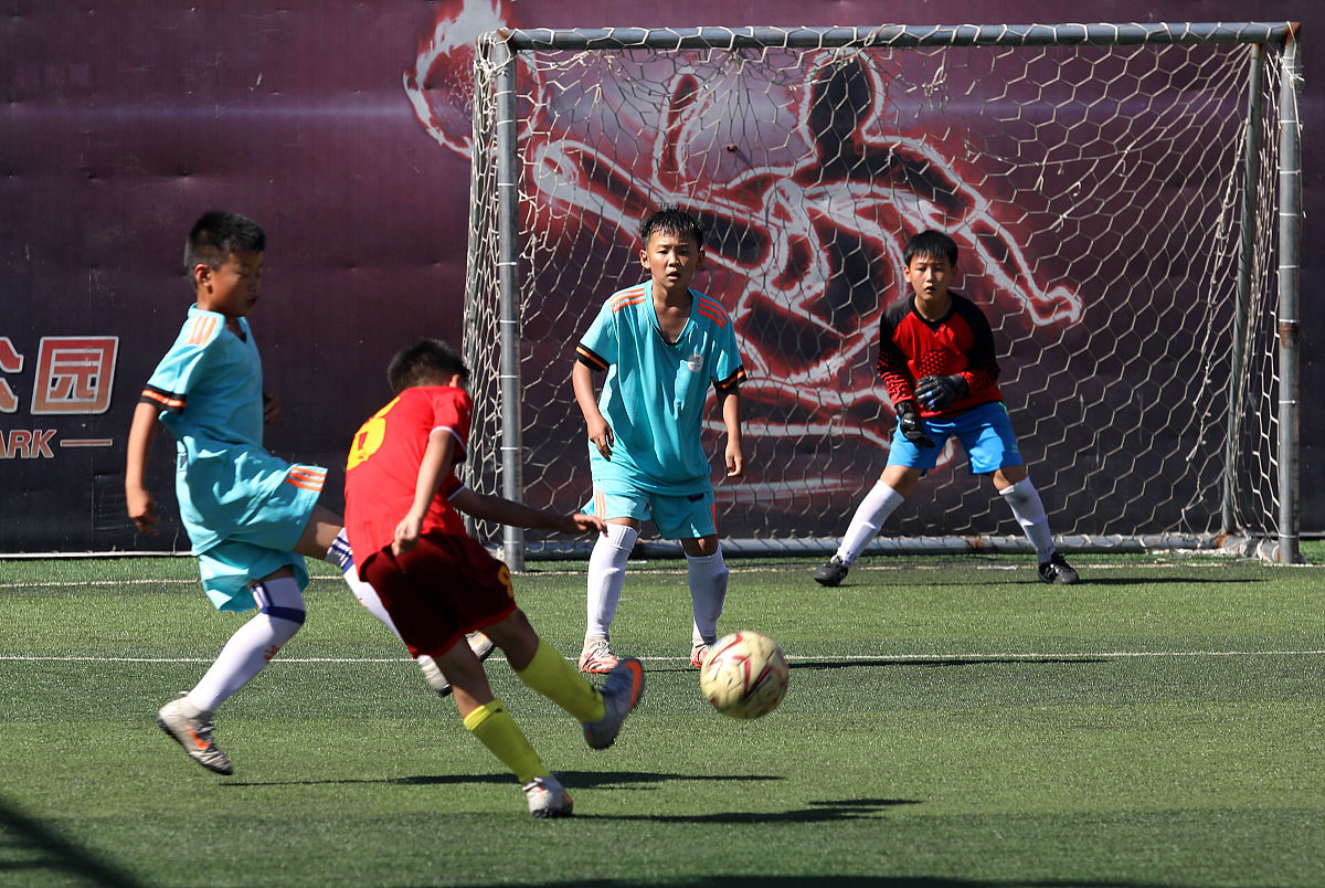 804 除以 6 的竖式计算及验算