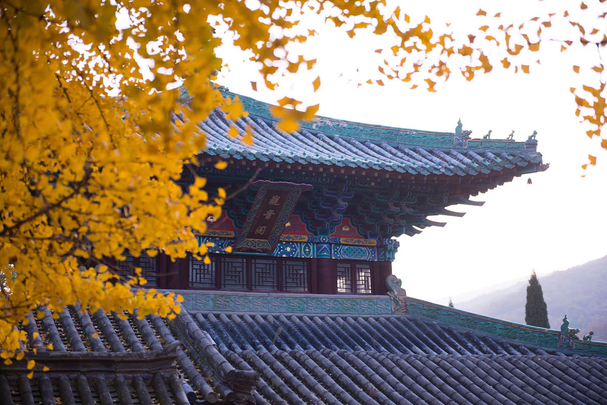 四年级五一旅游作文：大佛寺与少林寺的奇妙旅程