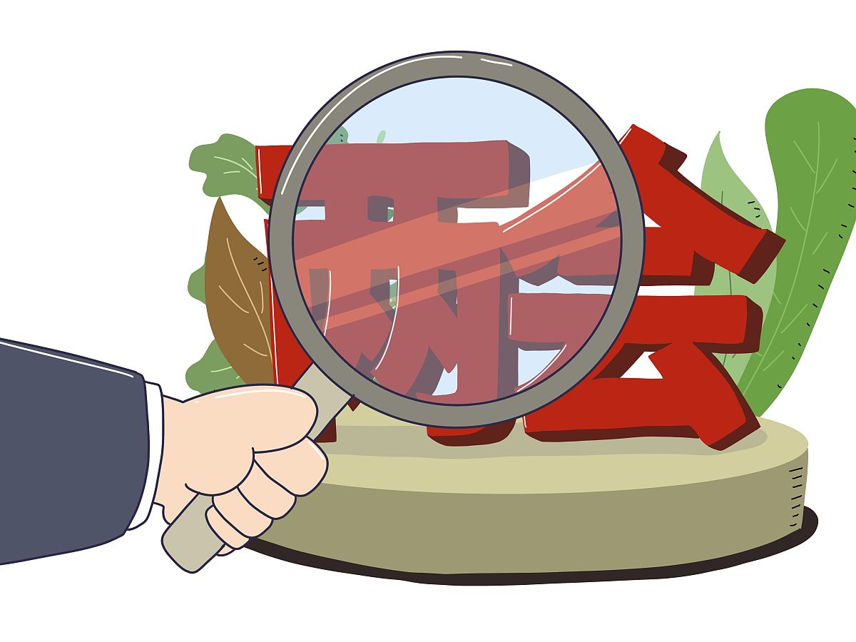 审计机关成立四周年 | 坚定前行，再创辉煌