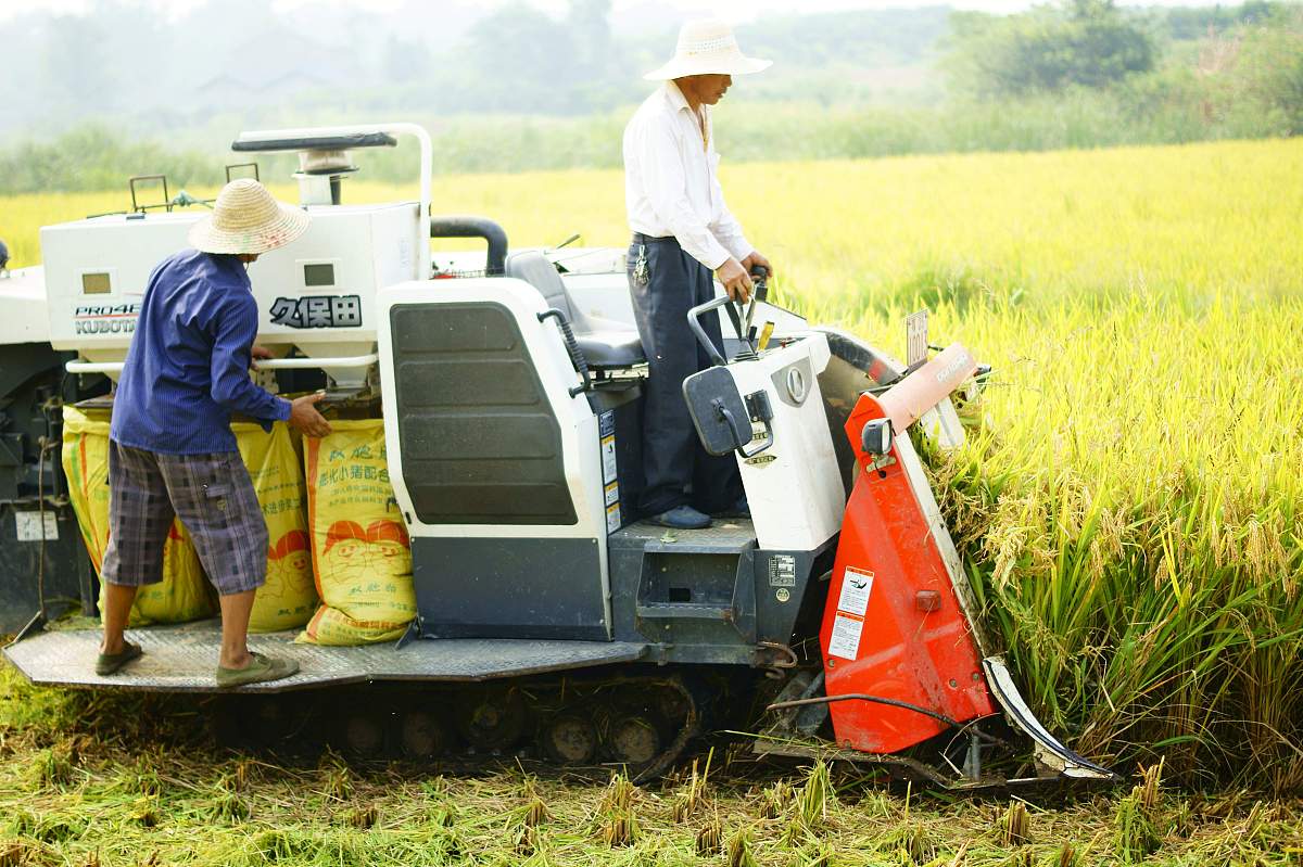宜昌财务会计学校简介用发散性
