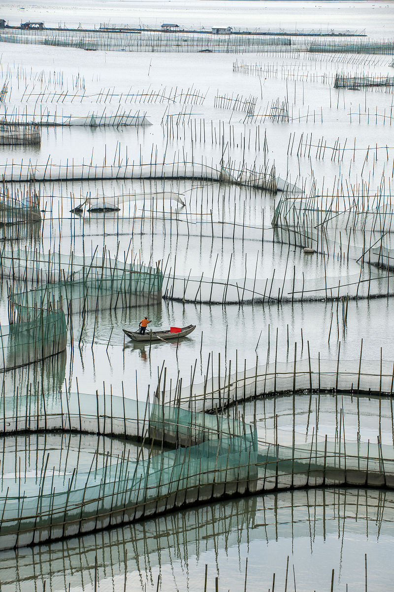 福鼎卫校2022年招生简章