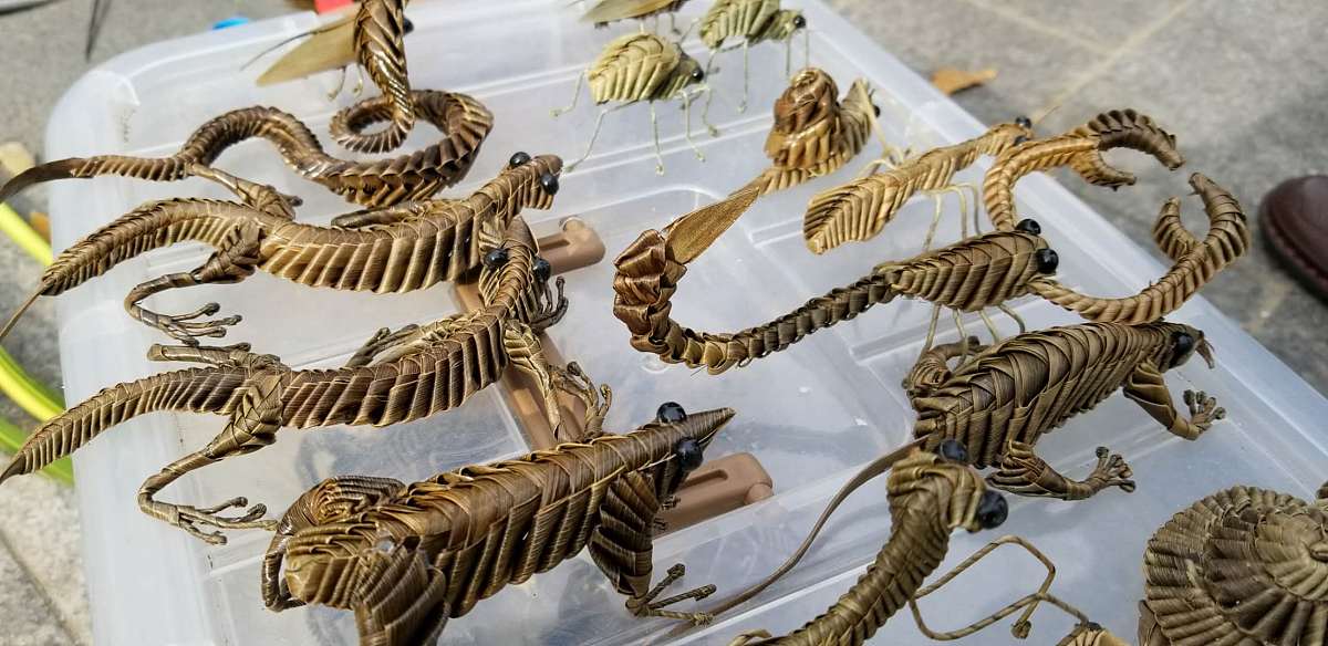 天津中医药大学中药资源与开发专业怎么样