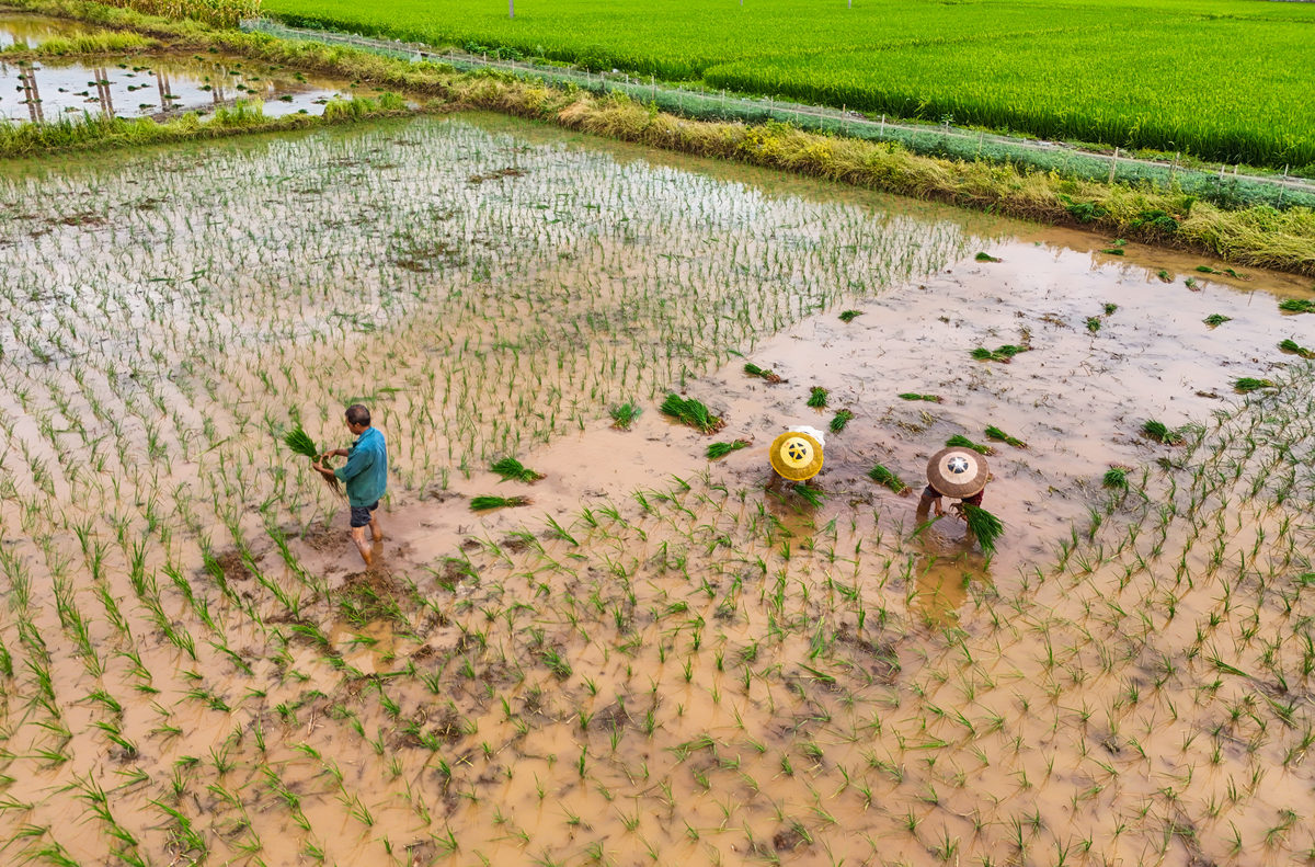 长沙到衡阳距离 - 多远？路线查询 - 82公里