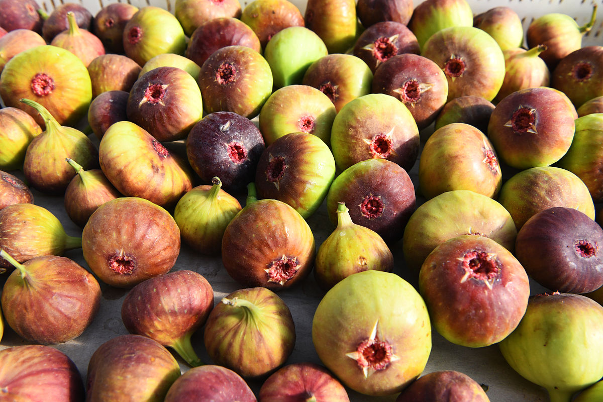 山东理工职业学院专业设置如何？