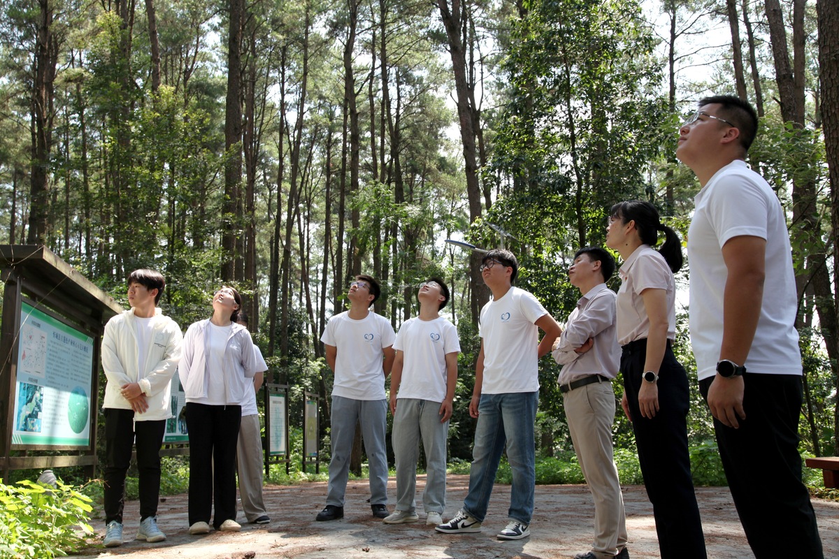 研学活动：结合实地考察和学术研究的教育模式