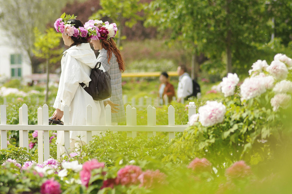 菏泽曹州音乐职业中等专业学校招生条件招生分数