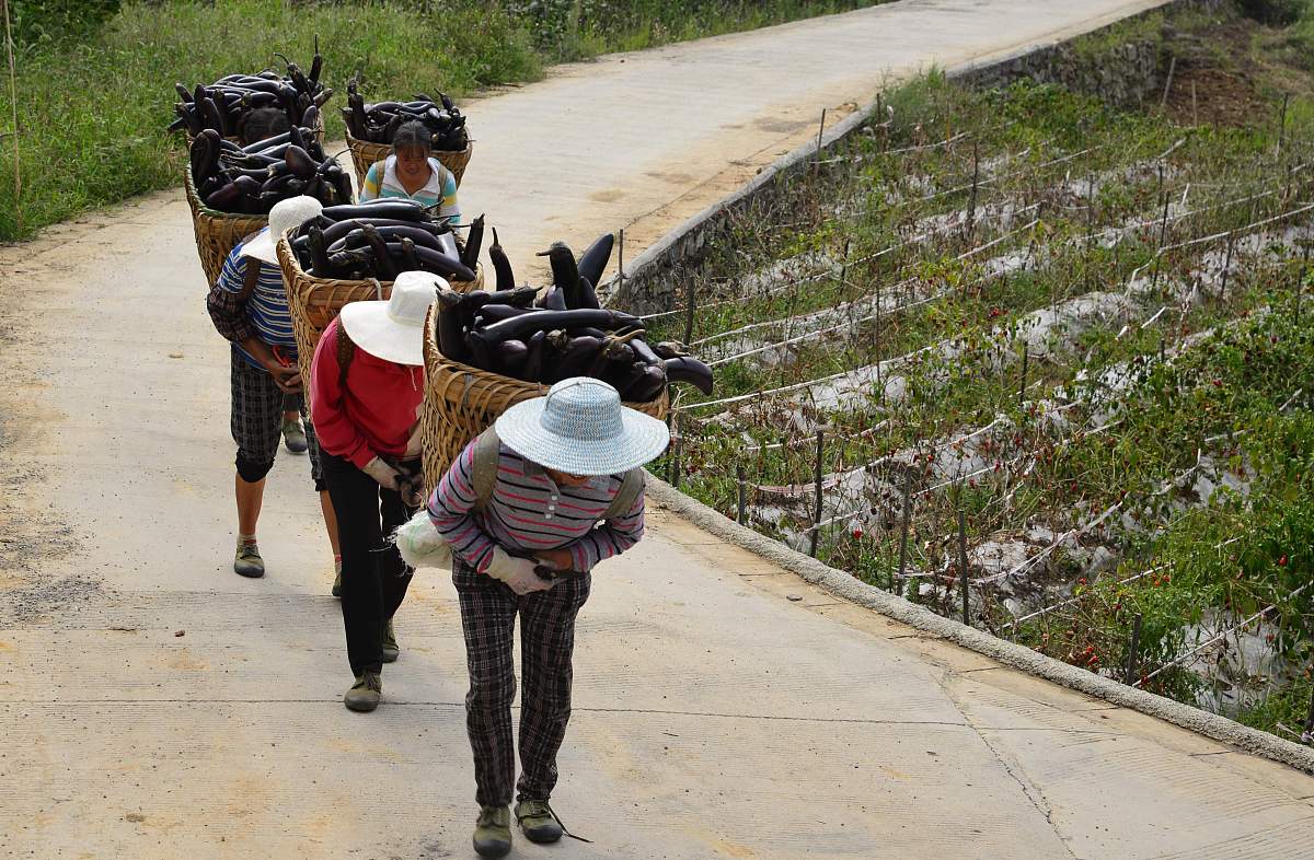 2022年遵义播州区中等职业学校招生简章