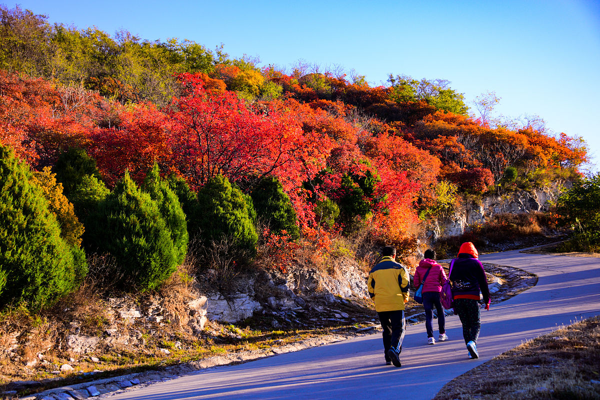 百望山之旅：一次难忘的成长之旅