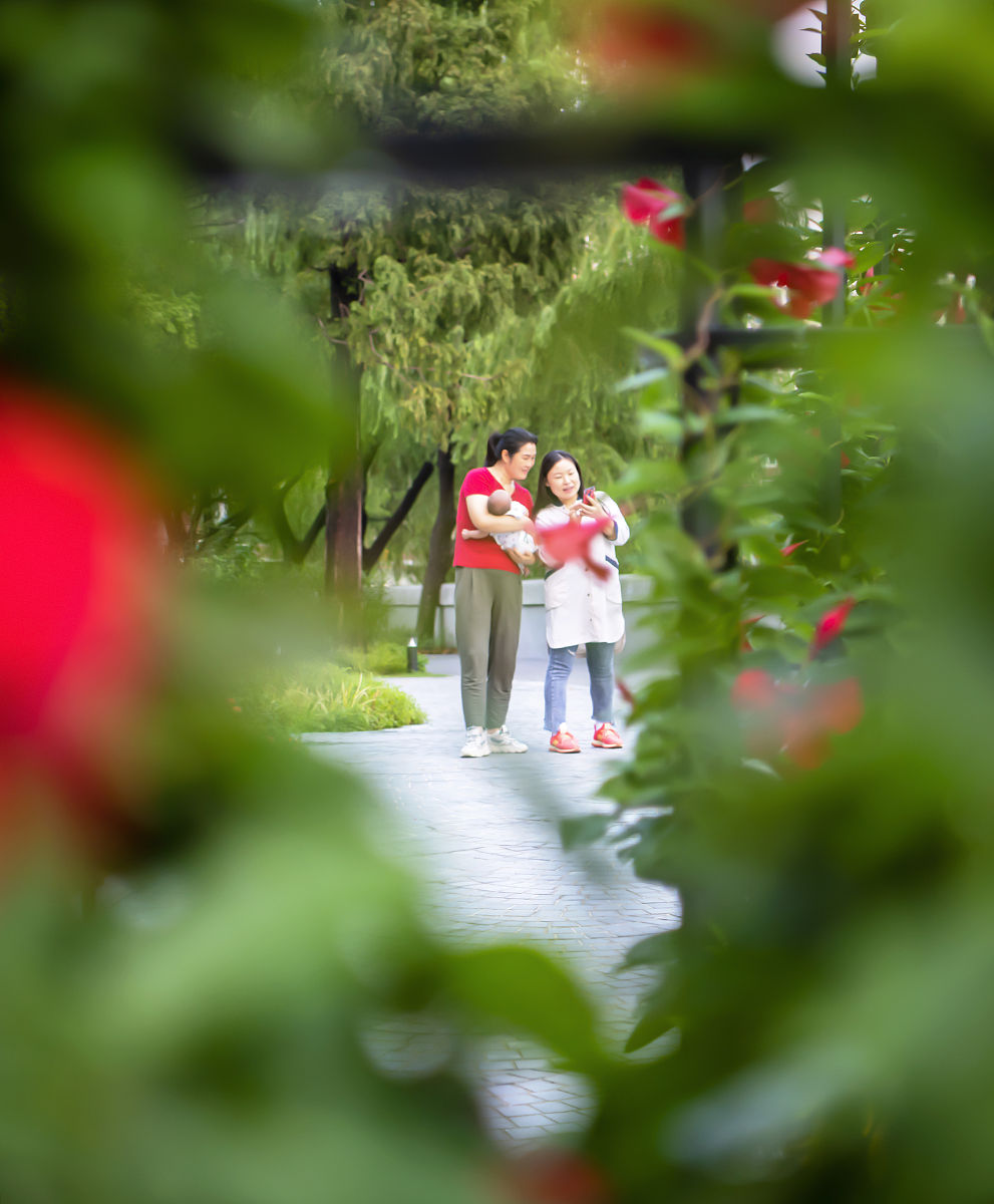 四川幼师学校：教学质量与校园文化深度解析
