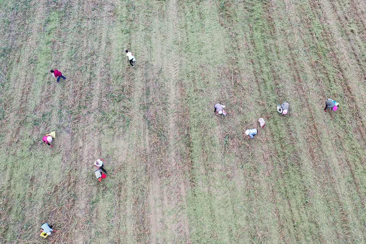 河南省信阳市商城县村民小组有集体用地吗 有的帮我用180字详细描述