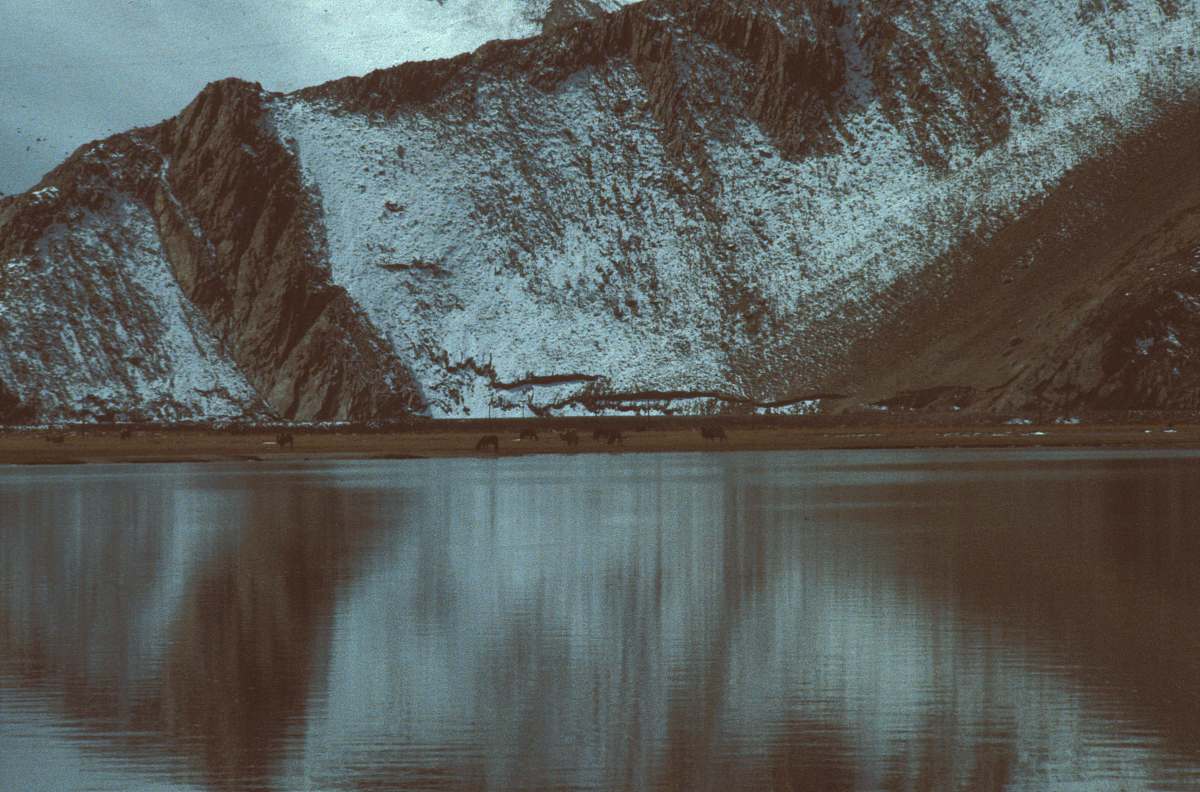 新疆旅游攻略：探秘天山南北，体验丝路风情