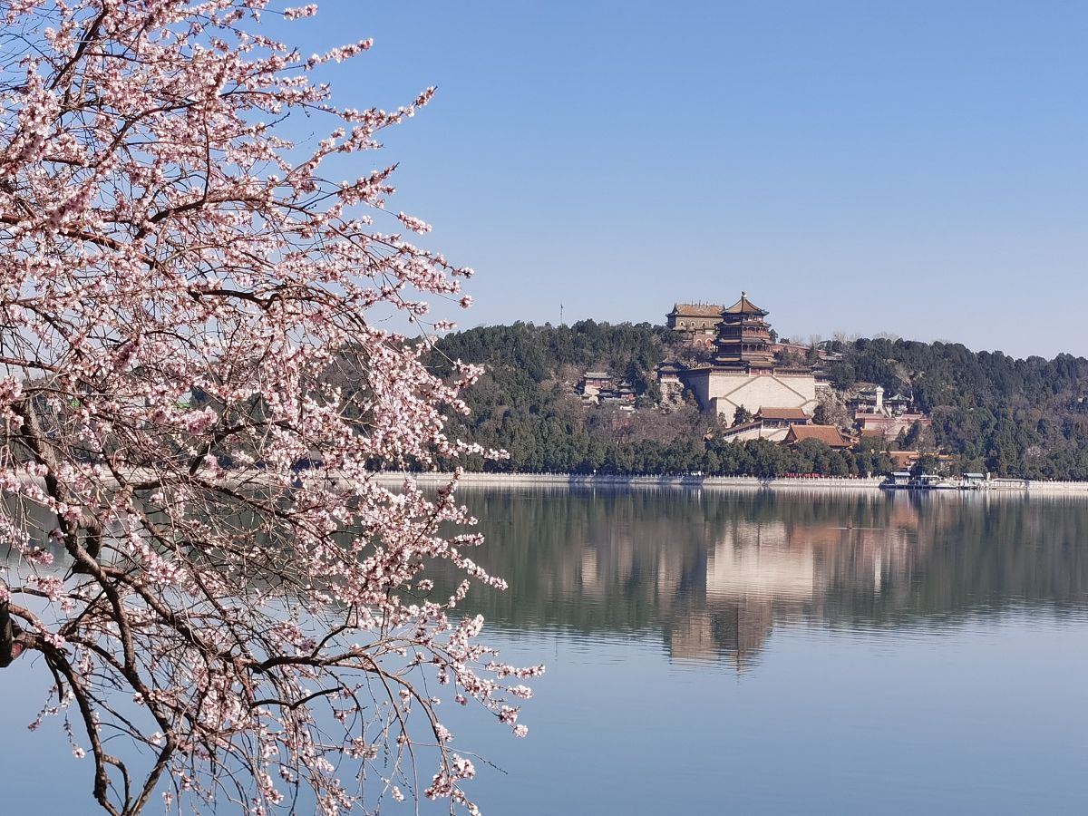 颐和园组团春游对缓解心理压力的作用