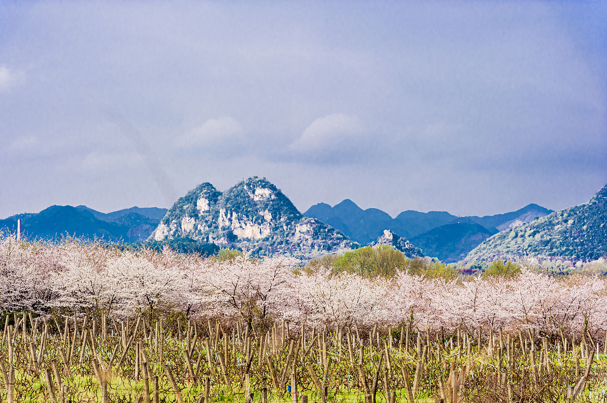 贵州男生报考中专学校推荐：2023年热门专业及院校